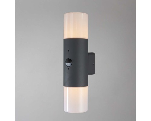 Уличный светильник Escada 534/2A E27*60W Dark grey