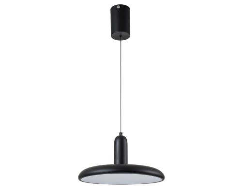Подвесной светильник Escada 10230/1 LED*18W Black