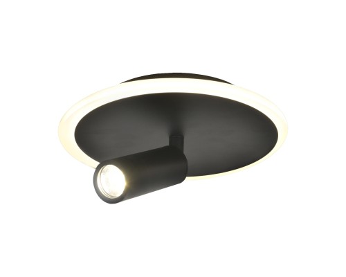 Настенно-потолочный свет Escada 20046SMA/01 LED 20W 4000K черный