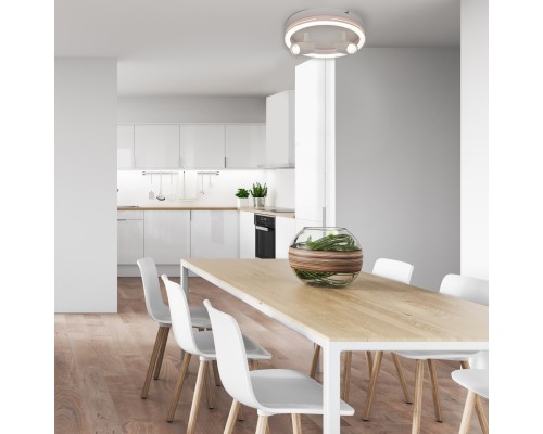 Настенно-потолочный свет Escada 20044SMA/03 LED 43W 4000K белый