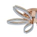 Потолочный светильник 100013/6C LED*118W Brass