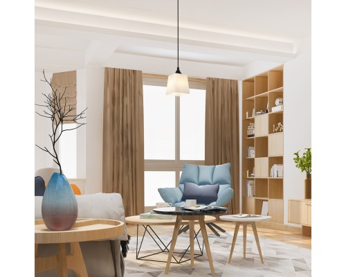 Подвесной светильник 160003/1P E27*60W Black