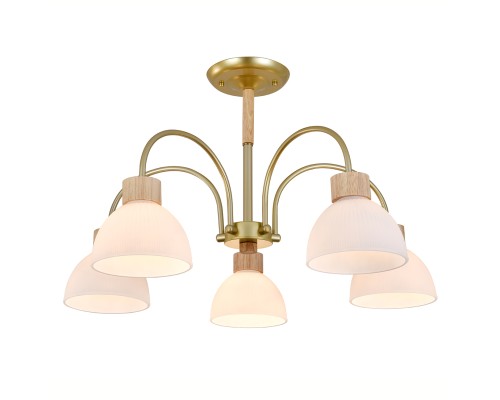 Светильник на штанге 150005/5R E27*60W Gold/Wood