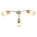 Потолочный светильник Escada 1100/3P Е14*40W Gold