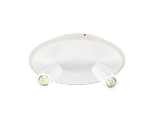 Настенно-потолочный свет Escada 20046SMA/02 LED 28W 4000K белый