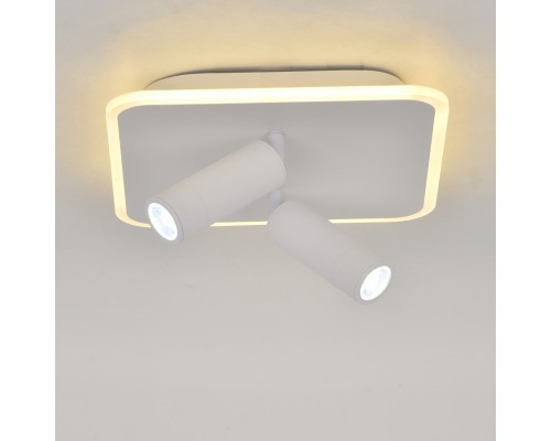 Настенно-потолочный свет Escada 20024SMA/01 LED 31W 4000K белый