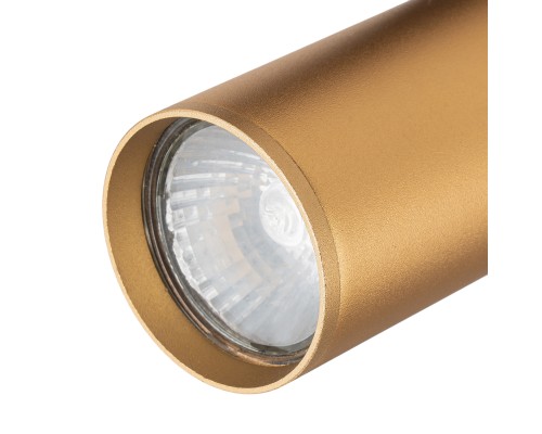 Трек Escada 20001TRA/01 GU10 латунь матовая