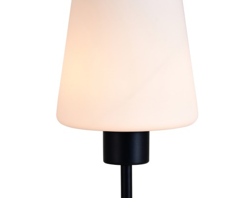 Настольный светильник 120004/1T E27*60W Black