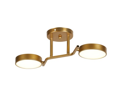 Потолочный светильник Escada 10273/2 LED*24W Champagne gold