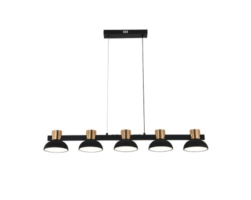 Подвесной светильник 11059/5PL Black