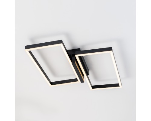 Потолочный светильник Escada 10209/2 LED*60W Black