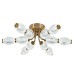 Потолочный светильник 100012/6C LED*60W Brass