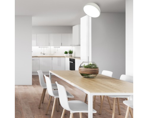 Потолочный светильник Escada 20025SMA/01 LED 15W белый