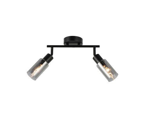 Настенно-потолочный свет Escada 10172/2A E14*40W Black/Chrome