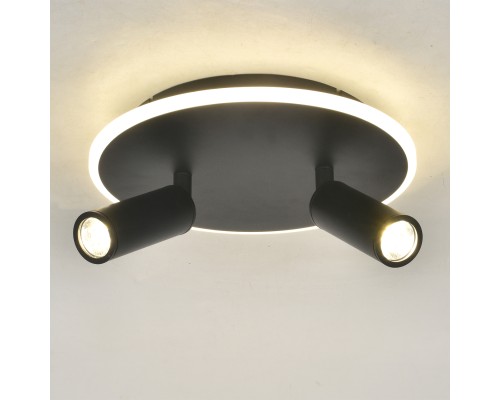 Настенно-потолочный свет Escada 20046SMA/02 LED 28W 4000K черный