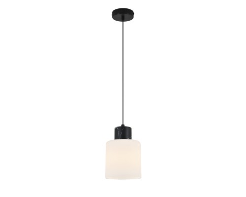 Подвесной светильник Escada 2133/1S E27*60W Black marble