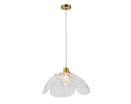 Подвесной светильник 11051/1P Clear