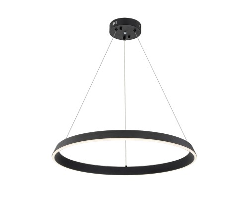 Подвесной светильник 14019/1P Black