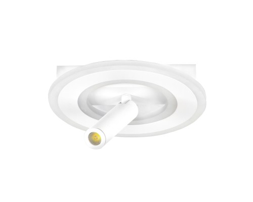 Настенно-потолочный свет Escada 20045SMA/02 LED 38W 4000K белый