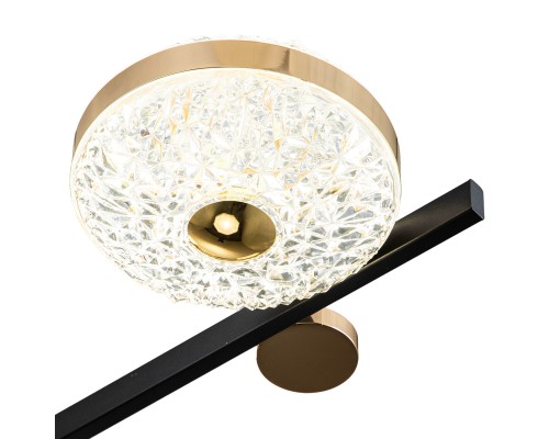 Потолочный светильник Escada 10219/6 LED*78W Black/Gold