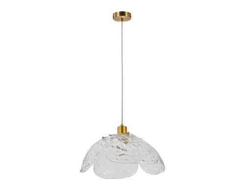 Подвесной светильник 11051/1P Clear