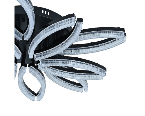 Потолочный светильник 100013/10C LED*196W Black
