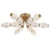 Потолочный светильник 100012/6C LED*60W Brass