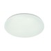 Потолочный светильник Escada 10213/SG LED*40W White