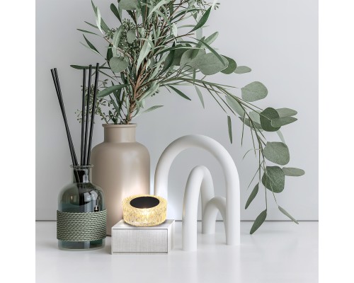 Настольный светильник Escada 10254/L LED*1W Clear