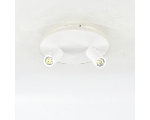 Настенно-потолочный свет Escada 20046SMA/02 LED 28W 4000K белый