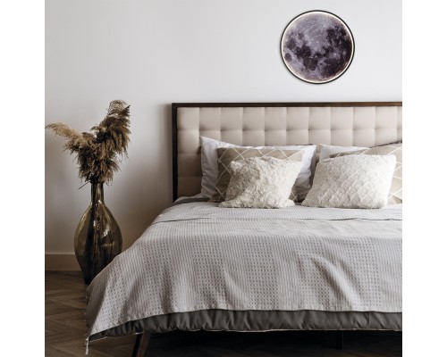 Настенно-потолочный свет Escada 10226/SG LED*43W Mars