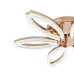 Потолочный светильник 100013/6C LED*118W Brass