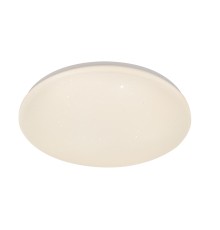 Потолочный светильник Escada 10216/SG LED*40W White APP