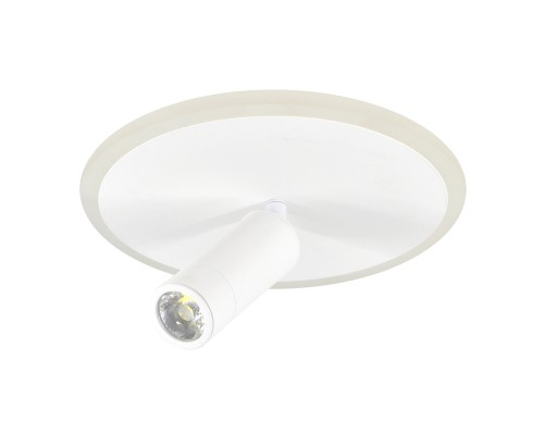 Настенно-потолочный свет Escada 20046SMA/01 LED 20W 4000K белый