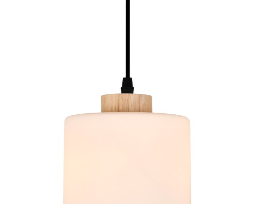 Подвесной светильник 160002/A/1P E27*60W Black