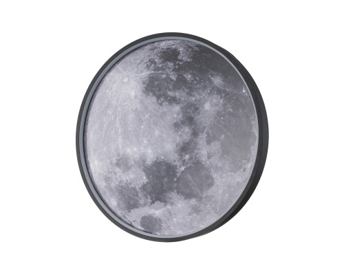 Настенно-потолочный свет Escada 10226/SG LED*43W Moon