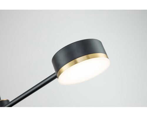 Потолочный светильник Escada 10246/6 LED*56W Black/Gold