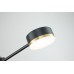 Потолочный светильник Escada 10246/6 LED*56W Black/Gold