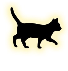 Настенный светильник Escada 10209/SG LED*5W Black