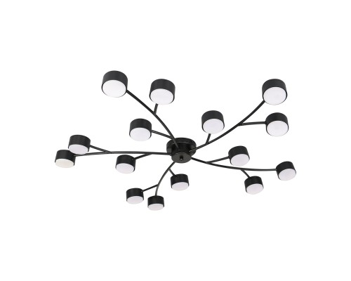 Потолочный светильник 120009/15C GX53*15W Black