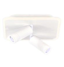 Настенно-потолочный свет Escada 20024SMA/01 LED 31W 4000K белый