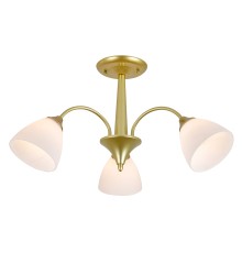 Светильник на штанге 150003/3R E27*60W Gold