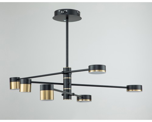 Потолочный светильник Escada 10246/6 LED*56W Black/Gold