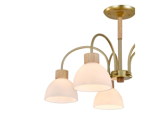 Светильник на штанге 150005/5R E27*60W Gold/Wood