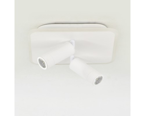 Настенно-потолочный свет Escada 20024SMA/01 LED 31W 4000K белый