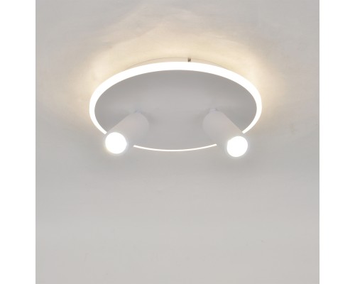 Настенно-потолочный свет Escada 20046SMA/02 LED 28W 4000K белый