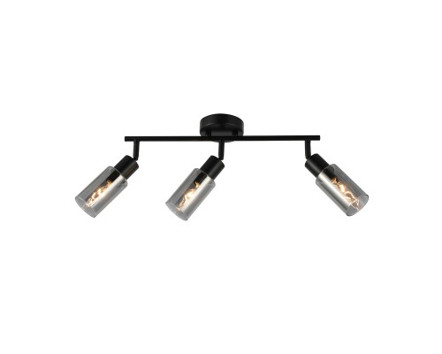 Настенно-потолочный свет Escada 10172/3A E14*40W Black/Chrome