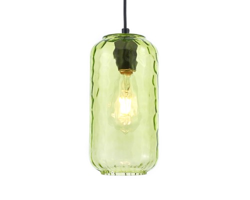 Подвесной светильник Escada 10177/1S E27*60W Black/Green