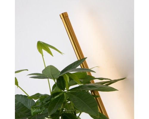 4050-2W, настенный светильник, D210xW120xH800, LEDx12W, 3780LM, 3000K