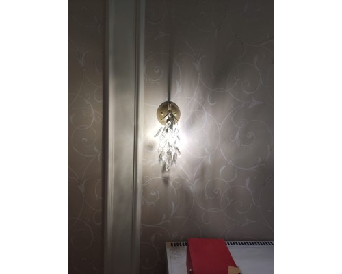 Бра Favourite 3003-1W Brillo 1*E14*40W D250*W160*H340мм